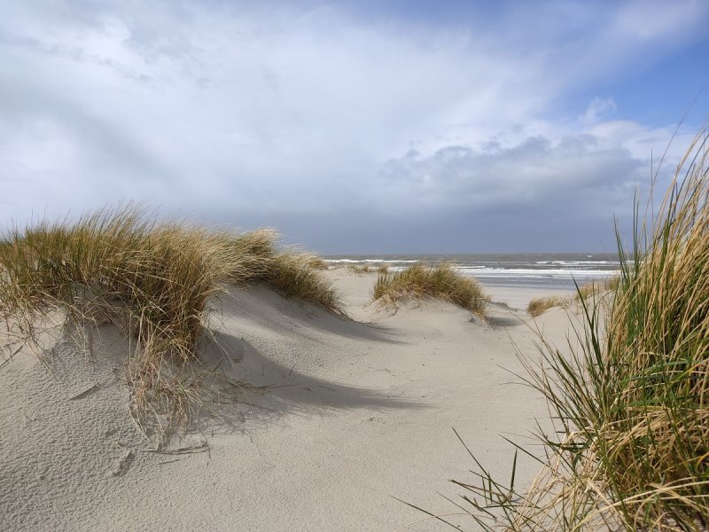 Bildungszeiten auf Langeoog