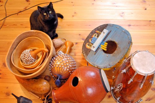 Instrumente und Kätzchen